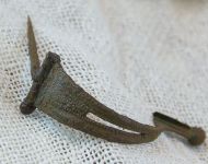 Fibula